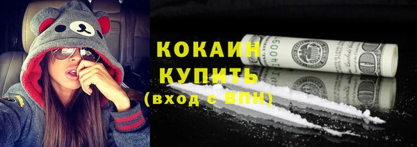 индика Кулебаки