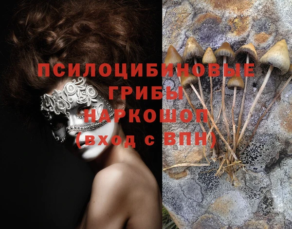 индика Кулебаки
