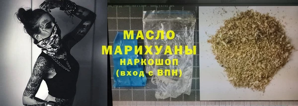 индика Кулебаки