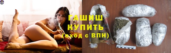 индика Кулебаки