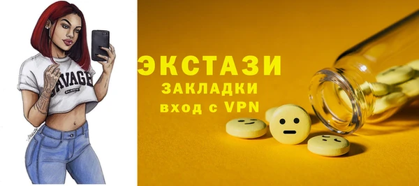 индика Кулебаки