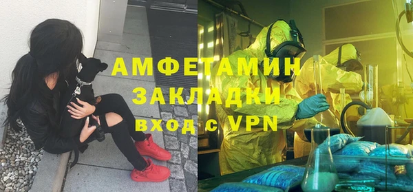 индика Кулебаки