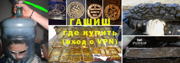 индика Кулебаки