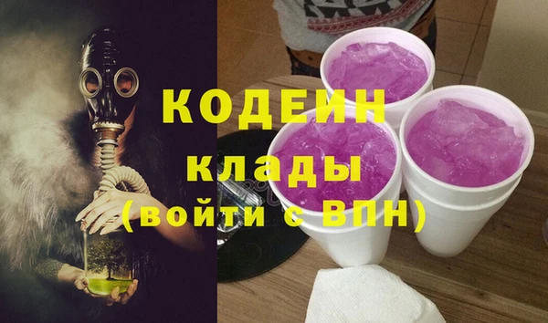 индика Кулебаки