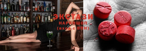 индика Кулебаки